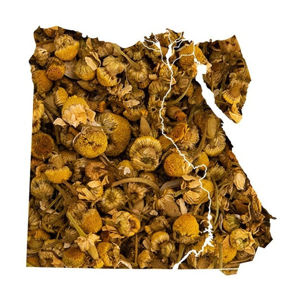 Alexandria